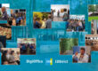 Fotocollage van het Klantevent 2025 in het Kröller-Müller Museum.